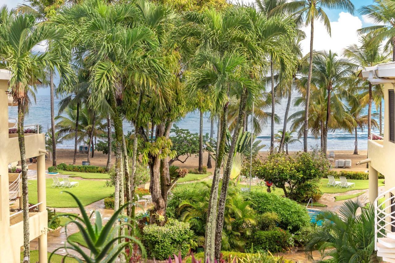Cabarete Palm Beach Condos Kültér fotó