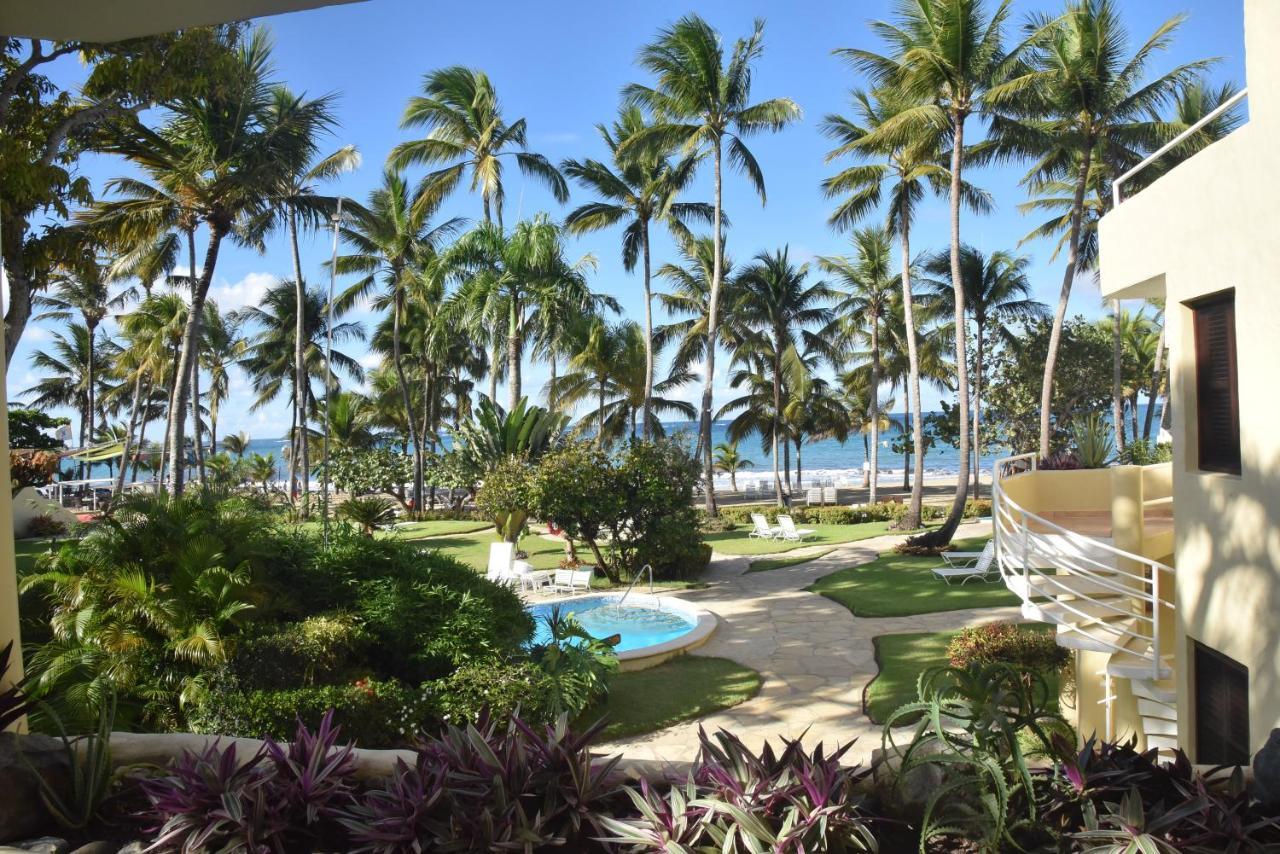 Cabarete Palm Beach Condos Kültér fotó