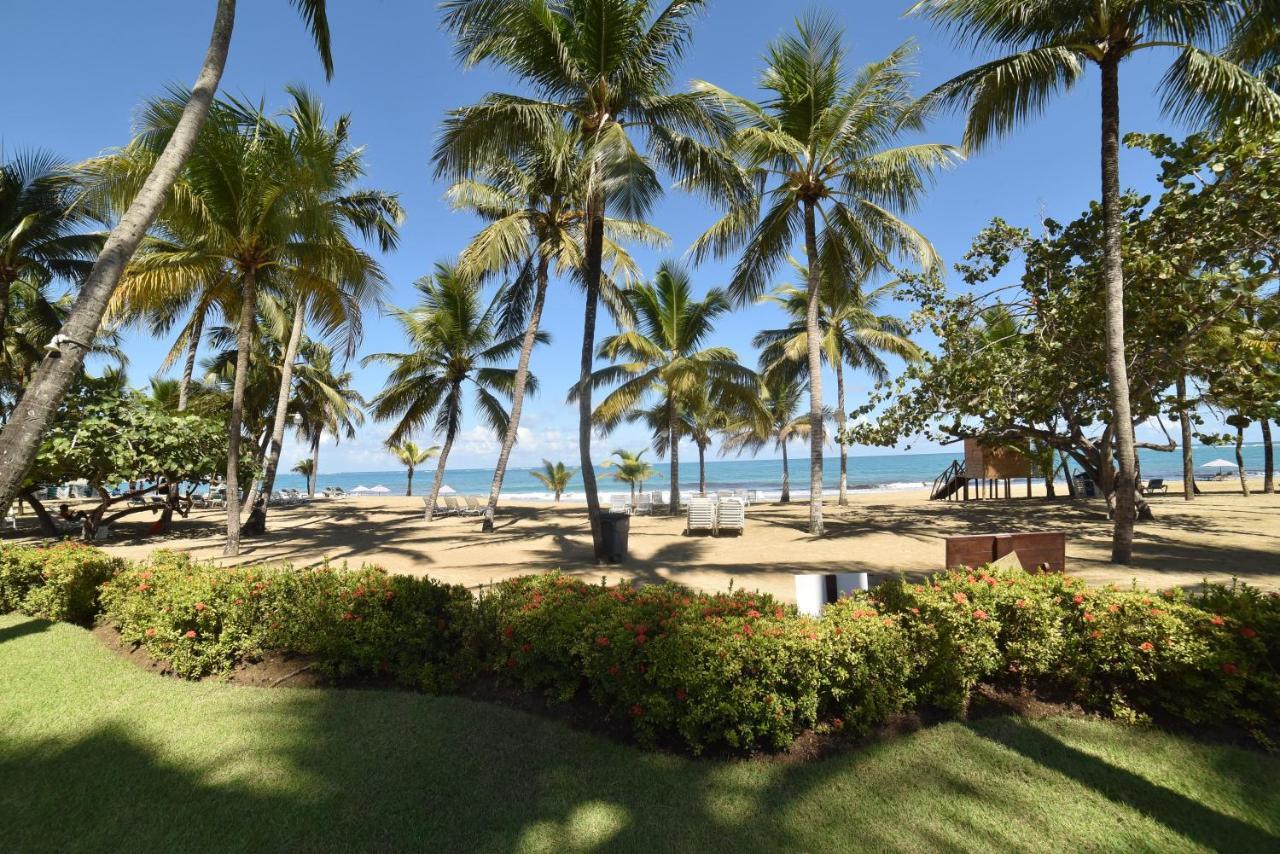 Cabarete Palm Beach Condos Kültér fotó